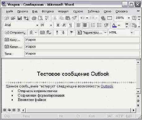    Outlook 2002