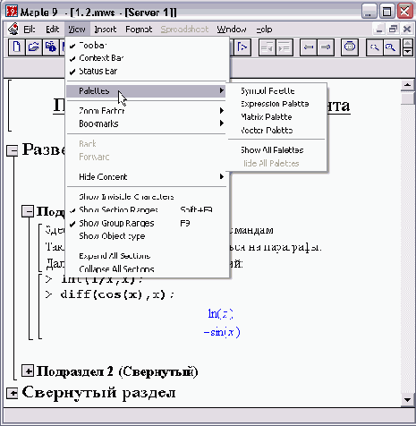    Maple 9
