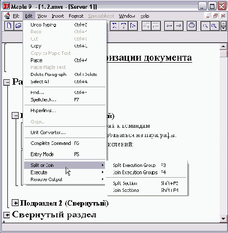    Maple 9
